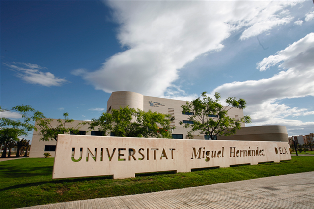 Rectorado de la Universidad Miguel Hernández de Elche: UMH.