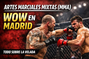 Representación de un combate de artes marciales mixtas: ChatGPT.