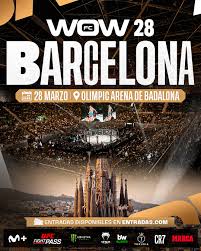 Cartel del WOW Barcelona.